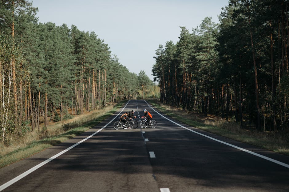 Асфальт: Цены за квадратный метр. Инвестируйте в соответствии с потребностями года.