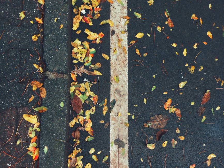 Услуги асфальтирования парковок в Анкаре: выделяйтесь с помощью цветных вариантов