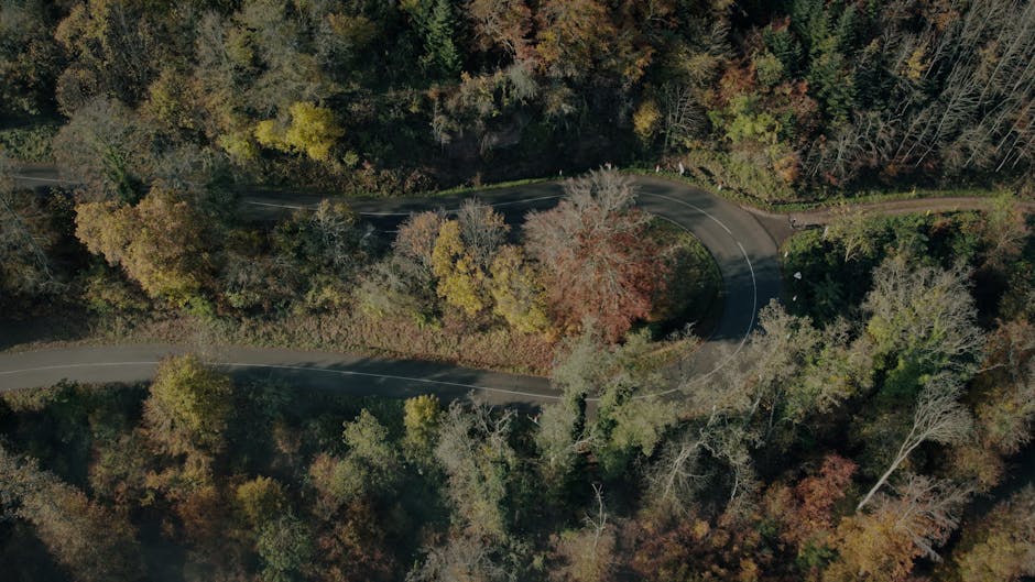 Погружение в глубины цен на асфальт: кто будет строить дороги?