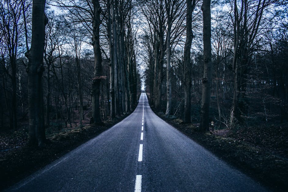 2026 Новые методы и возможности в асфальтовых приложениях