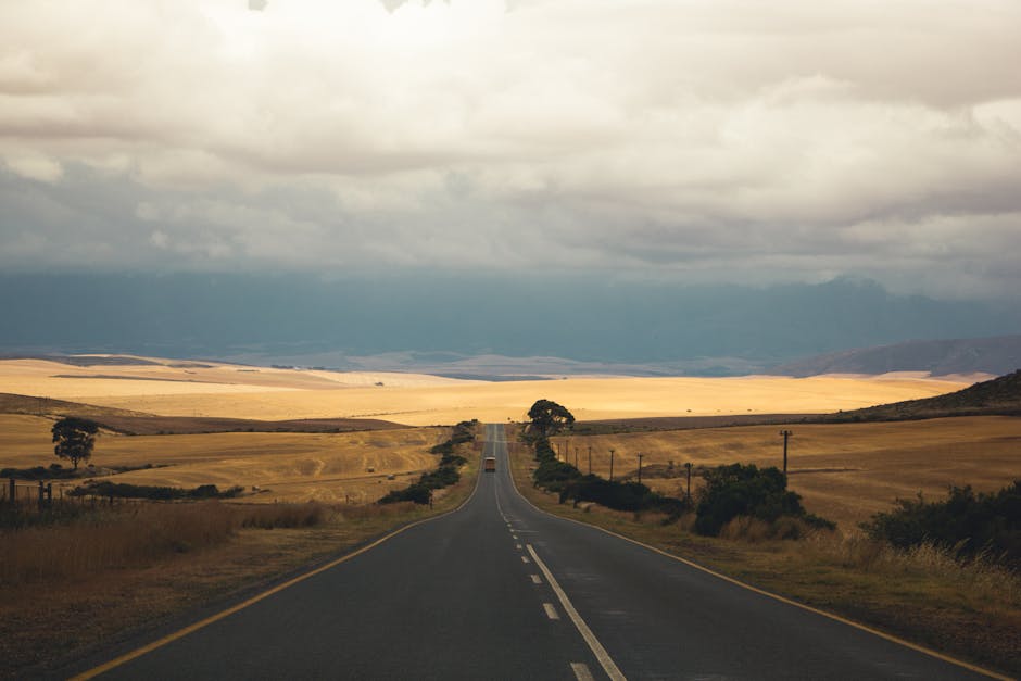 Специальные асфальтовые компании: эксперты, строящие будущее дорог