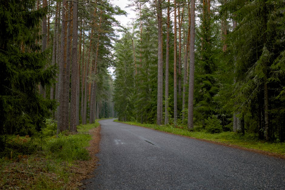Городские дороги: Кто отвечает и каковы затраты?
